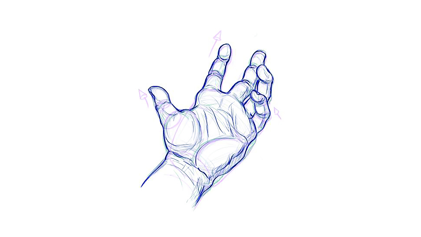 Draw hands; sketches of hands 